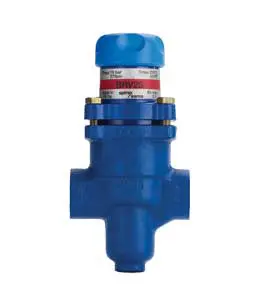 SPIRAX SARCO 1005081 -  Pressure Regulator Main Valve Assembly