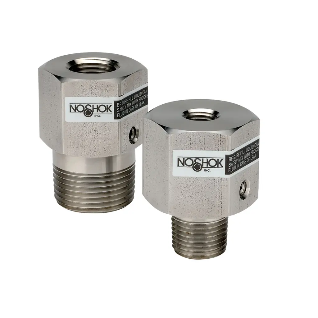 1/4" National Pipe Thread (NPT) Instrument Connection, 316 Stainless Steel, 1/2" National Pipe Thread (NPT) Male Process Connection Type 20 Seal with 316 Stainless Steel Diaphragm