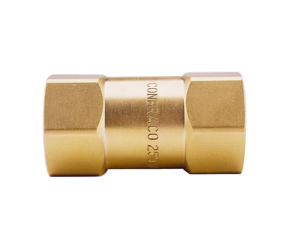 Apollo Brass Mini Check Valve with Standard Configuration 1/4" (2 x FNPT)