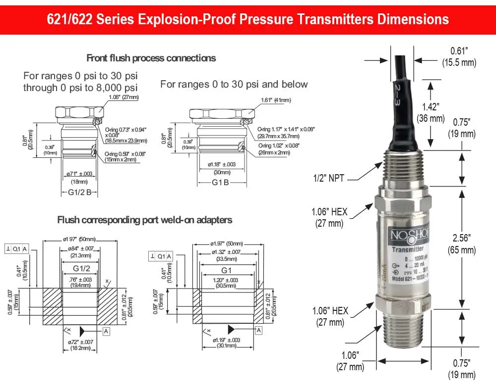 0 to 10,000 psig, 0.25% Accuracy (Best Fit Straight Line (BFSL)), 4 to 20 mA Output, 1/4" National Pipe Thread (NPT) Male Pressure Transmitter with 1/2" National Pipe Thread (NPT) Conduit (6 ft Cable Attached)