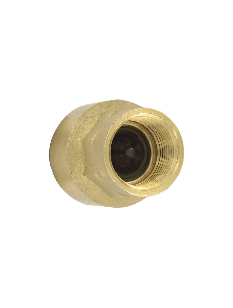 Brass inline check valve, 1-1/2" connection, 39.1 Cv value, weight 1.6 lb (0.73 kg).